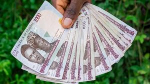eNairas : le Nigeria lance sa monnaie Électronique en Octobre 2021