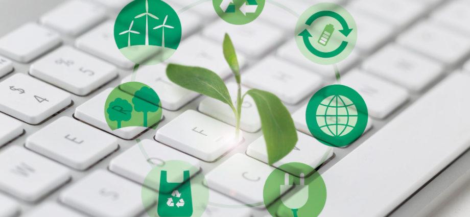 L'Éco-Responsabilité dans le Marketing Digital : Vers une Pratique Plus Verte