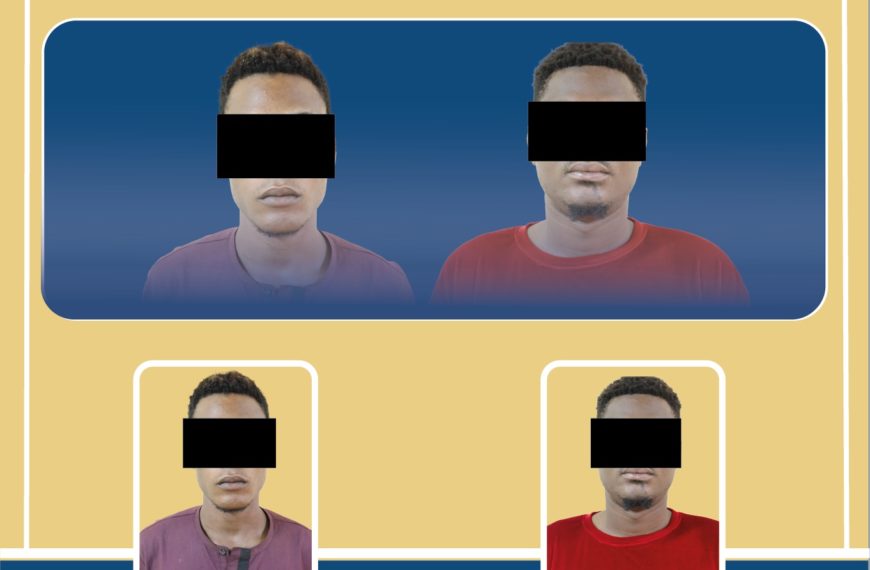 Lutte contre la cybercriminalité : deux individus interpellés pour usurpation et diffamation
