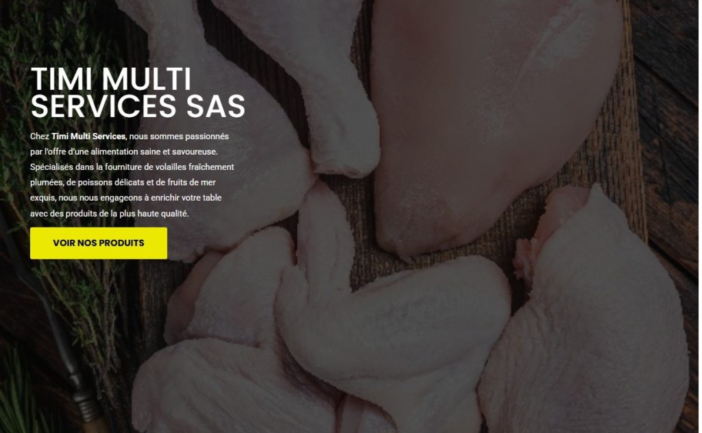 Capture du site timimultiservices.com réalisé par Wakatt Médias